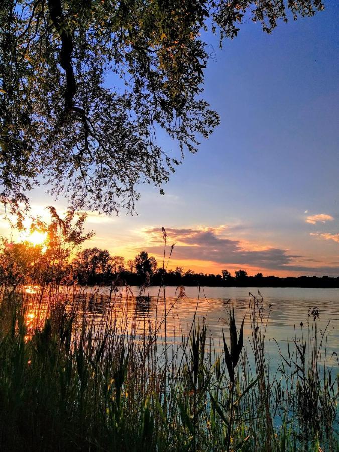 Lotus Home Eleganza E Accoglienza A Mantua Dış mekan fotoğraf